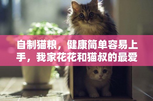 自制貓糧，健康簡單容易上手，我家花花和貓叔的最愛 