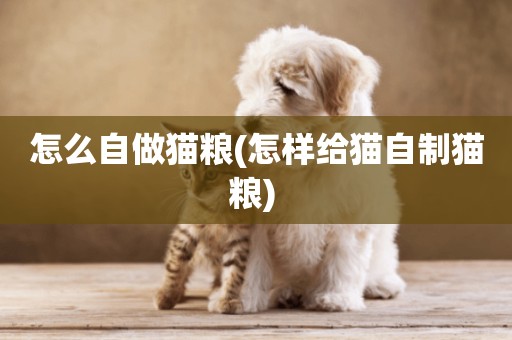 怎么自做貓糧(怎樣給貓自制貓糧) 