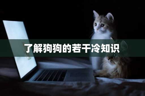 了解狗狗的若干冷知識 