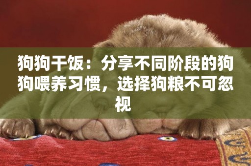 狗狗干飯：分享不同階段的狗狗喂養習慣，選擇狗糧不可忽視 
