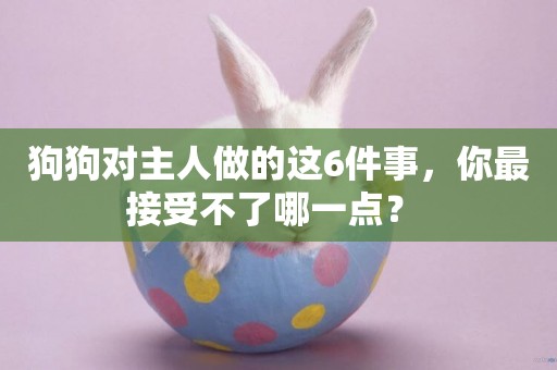 狗狗對主人做的這6件事，你最接受不了哪一點？ 