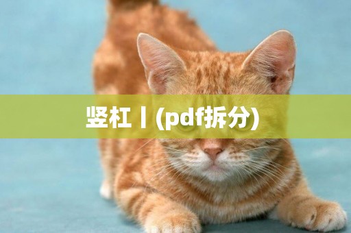 豎杠丨(pdf拆分) 