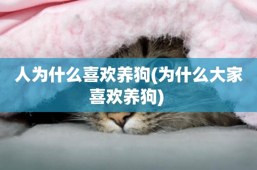 人為什么喜歡養狗(為什么大家喜歡養狗) 