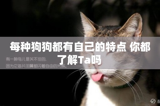 每種狗狗都有自己的特點 你都了解Ta嗎 