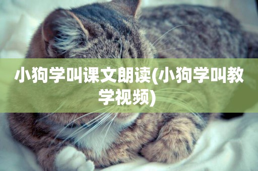 小狗學叫課文朗讀(小狗學叫教學視頻) 