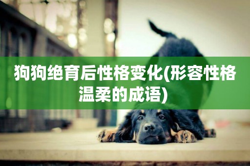 狗狗絕育后性格變化(形容性格溫柔的成語) 