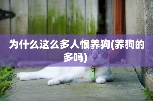 為什么這么多人恨養狗(養狗的多嗎) 