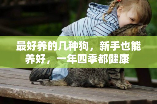 最好養的幾種狗，新手也能養好，一年四季都健康 