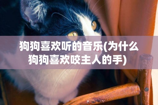 狗狗喜歡聽的音樂(為什么狗狗喜歡咬主人的手) 