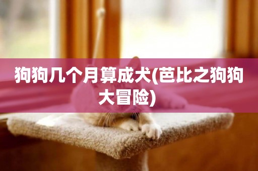 狗狗幾個月算成犬(芭比之狗狗大冒險) 
