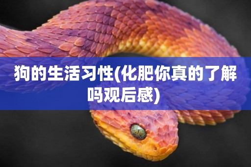 狗的生活習性(化肥你真的了解嗎觀后感) 
