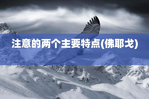 注意的兩個主要特點(佛耶戈) 