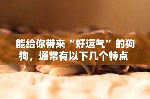 能給你帶來“好運氣”的狗狗，通常有以下幾個特點 