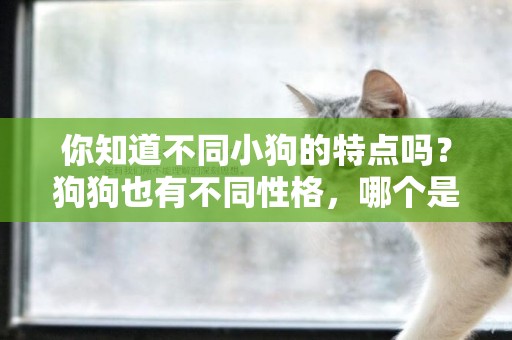 你知道不同小狗的特點嗎？狗狗也有不同性格，哪個是你喜歡的性格 