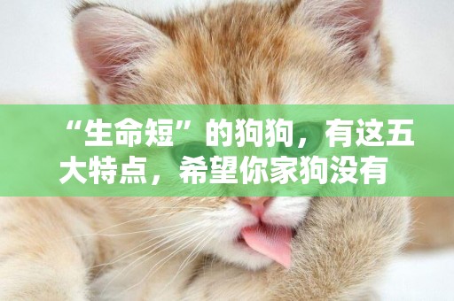 “生命短”的狗狗，有這五大特點，希望你家狗沒有 
