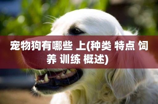 寵物狗有哪些 上(種類 特點 飼養 訓練 概述) 
