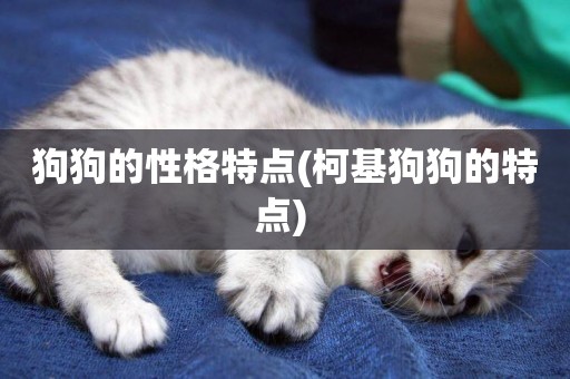 狗狗的性格特點(柯基狗狗的特點) 