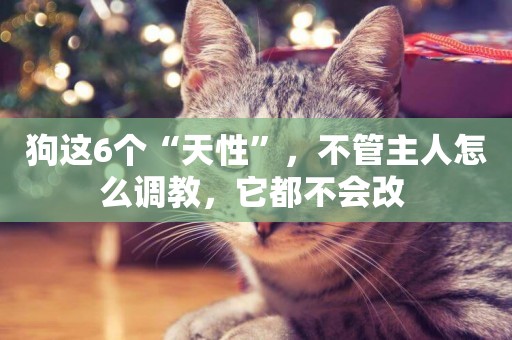 狗這6個“天性”，不管主人怎么調教，它都不會改 