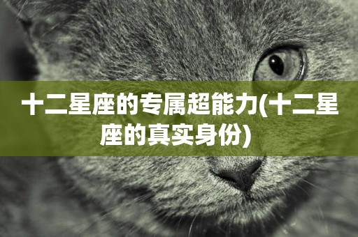 十二星座的專屬超能力(十二星座的真實身份) 