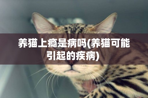 養貓上癮是病嗎(養貓可能引起的疾病) 
