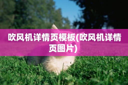 吹風機詳情頁模板(吹風機詳情頁圖片) 