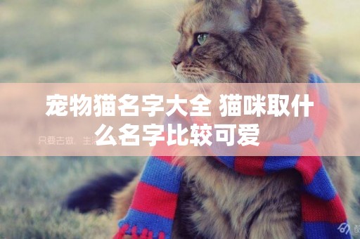 寵物貓名字大全 貓咪取什么名字比較可愛 