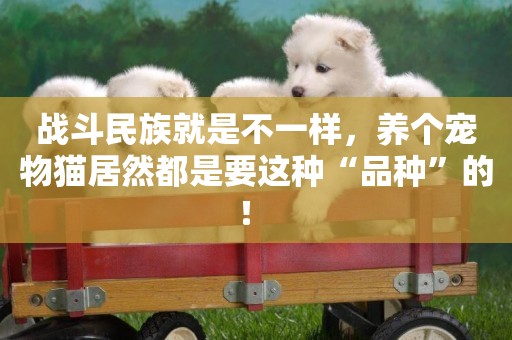 戰斗民族就是不一樣，養個寵物貓居然都是要這種“品種”的！ 