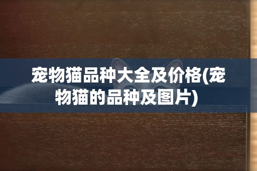寵物貓品種大全及價格(寵物貓的品種及圖片) 