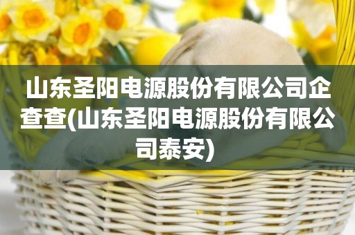 山東圣陽電源股份有限公司企查查(山東圣陽電源股份有限公司泰安) 