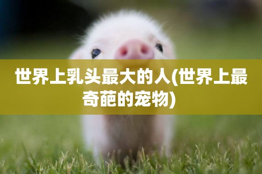 世界上乳頭最大的人(世界上最奇葩的寵物) 