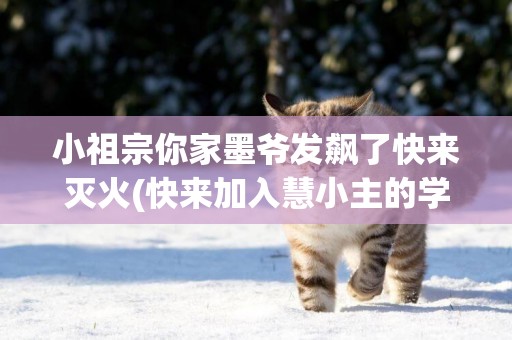 小祖宗你家墨爺發飆了快來滅火(快來加入慧小主的學財經) 