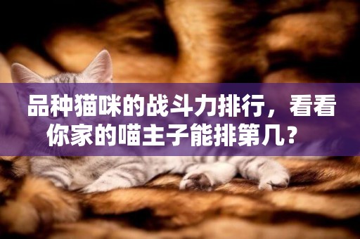 品種貓咪的戰斗力排行，看看你家的喵主子能排第幾？ 