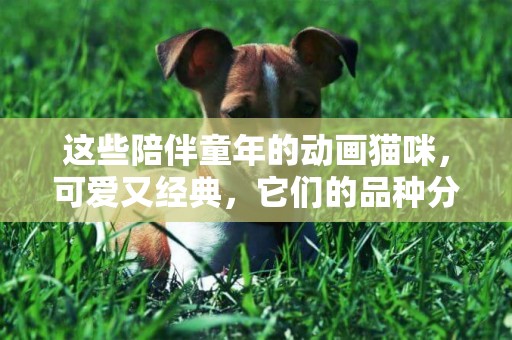 這些陪伴童年的動畫貓咪，可愛又經典，它們的品種分別是什么 