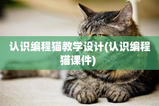 認識編程貓教學設計(認識編程貓課件) 