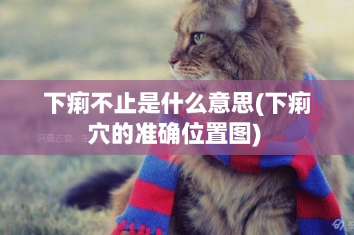 下痢不止是什么意思(下痢穴的準確位置圖) 