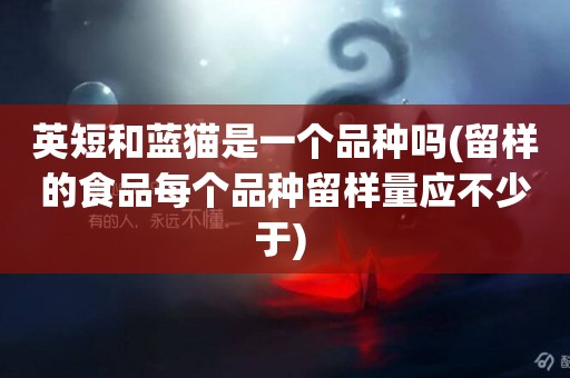 英短和藍貓是一個品種嗎(留樣的食品每個品種留樣量應不少于) 