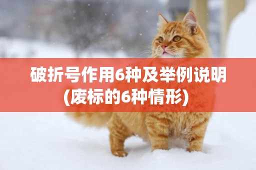 破折號作用6種及舉例說明(廢標的6種情形) 