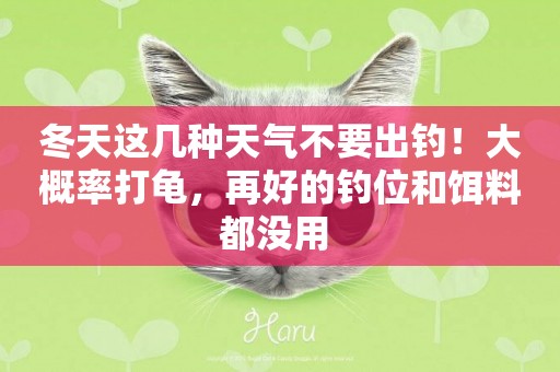 冬天這幾種天氣不要出釣！大概率打龜，再好的釣位和餌料都沒用 
