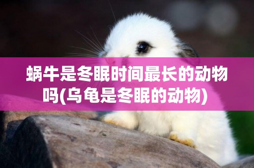 蝸牛是冬眠時間最長的動物嗎(烏龜是冬眠的動物) 