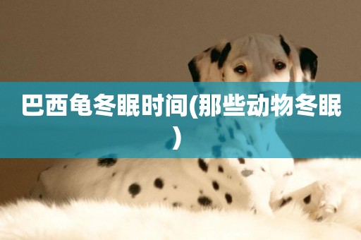 巴西龜冬眠時間(那些動物冬眠) 
