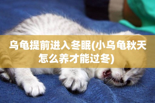 烏龜提前進入冬眠(小烏龜秋天怎么養才能過冬) 
