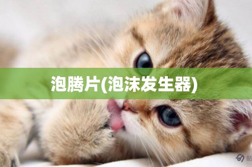 泡騰片(泡沫發生器) 