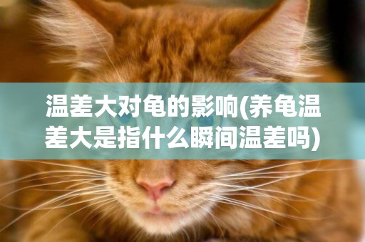 溫差大對龜的影響(養龜溫差大是指什么瞬間溫差嗎) 