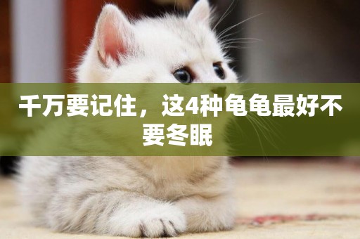 千萬要記住，這4種龜龜最好不要冬眠 