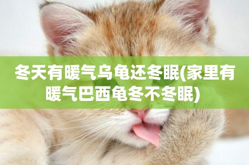 冬天有暖氣烏龜還冬眠(家里有暖氣巴西龜冬不冬眠) 