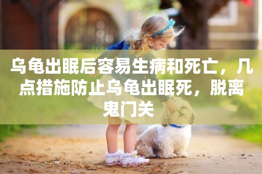 烏龜出眠后容易生病和死亡，幾點措施防止烏龜出眠死，脫離鬼門關 