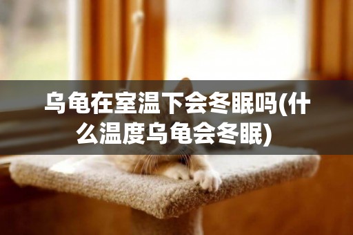 烏龜在室溫下會冬眠嗎(什么溫度烏龜會冬眠) 