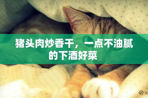 豬頭肉炒香干，一點不油膩的下酒好菜 