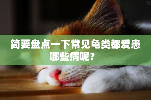簡要盤點一下常見龜類都愛患哪些病呢？ 