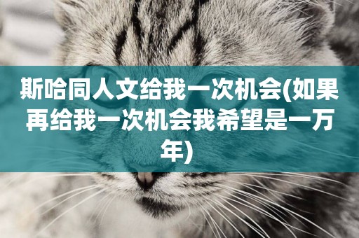 斯哈同人文給我一次機會(如果再給我一次機會我希望是一萬年) 